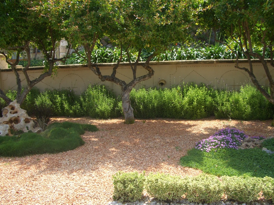 Jardín árido
