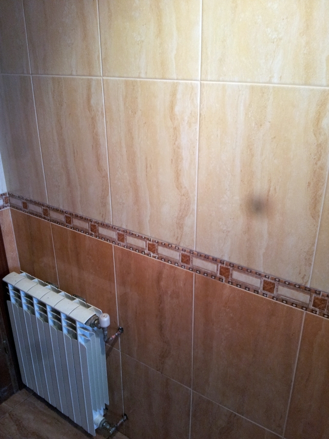 BAÑO ASEO AVILES