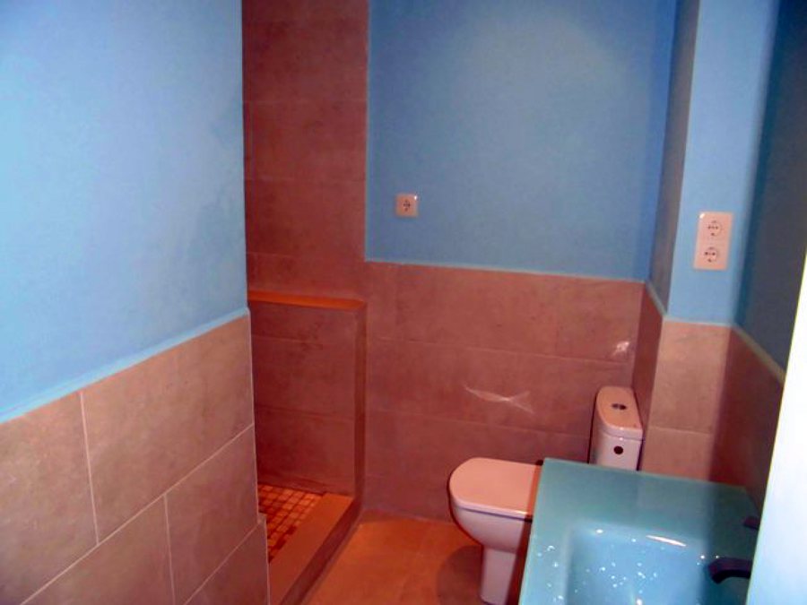 Baño mitad pintado, mitad alicatado II
