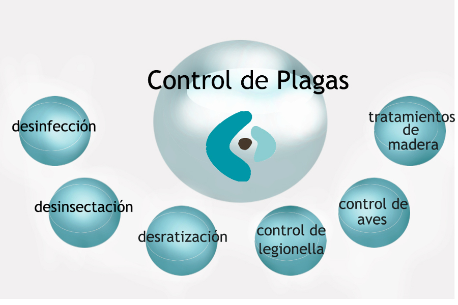 Nuestros Servicios