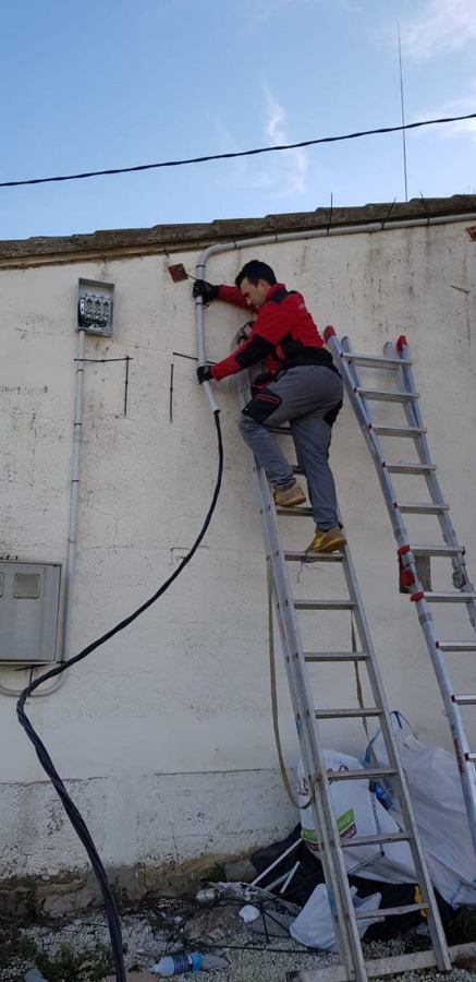 Trabajos realizados