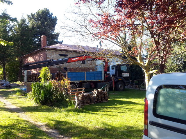 CAMION GRUA PROPIO