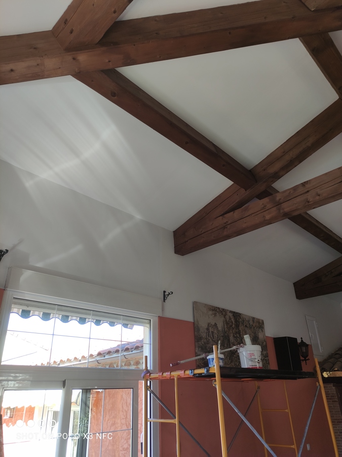 Pintura paredes y techo salón