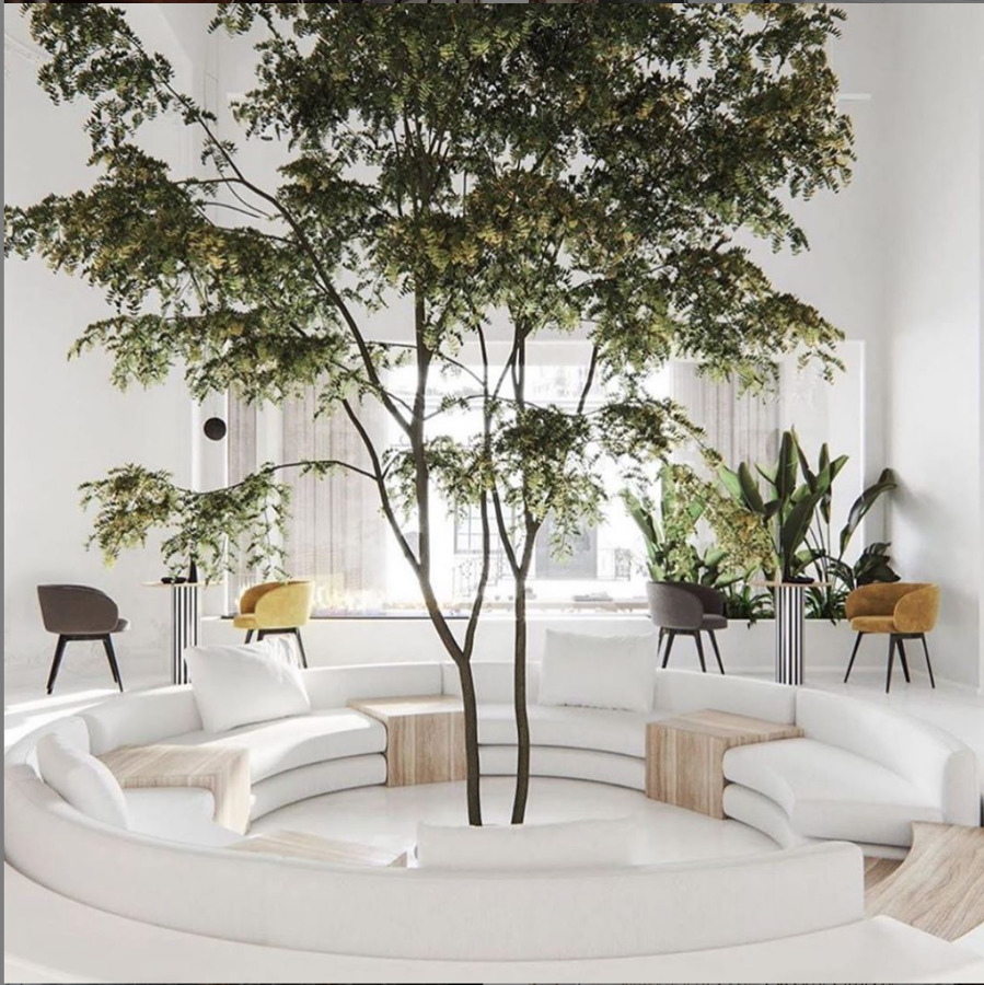Salón