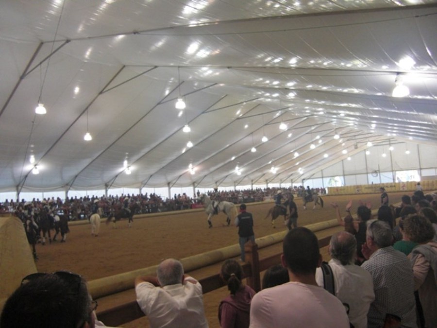 Alquiler de carpas 