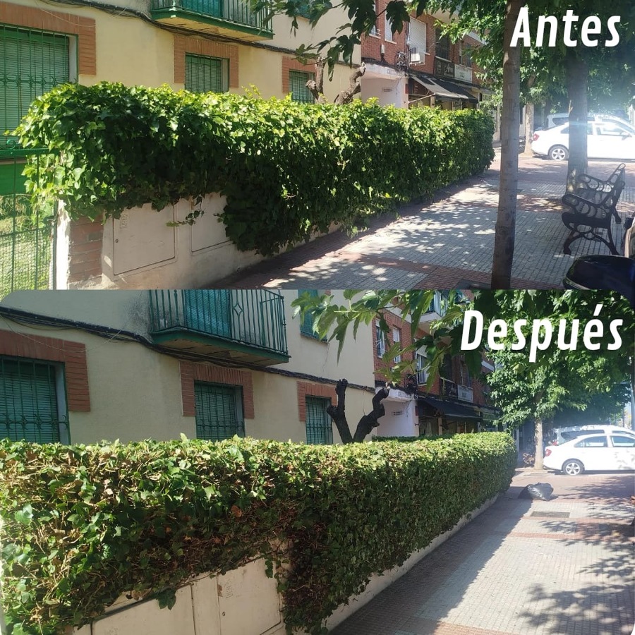 Trabajos