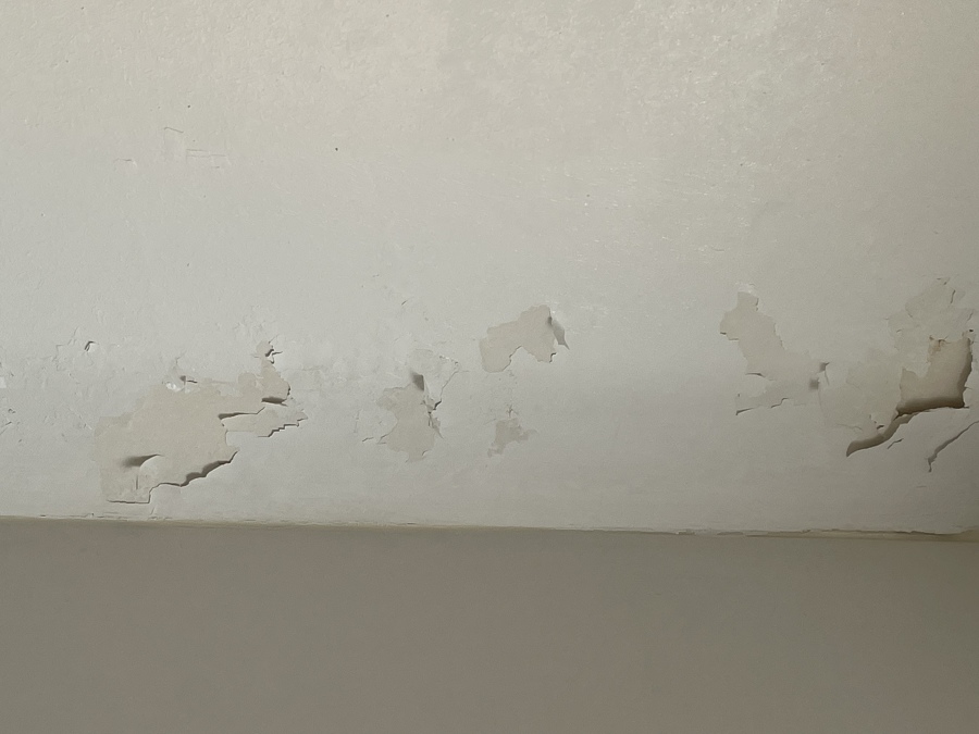 Pintura que se descascara? Tenemos la solución