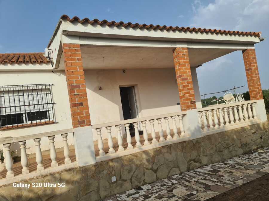 PINTURA CHALET