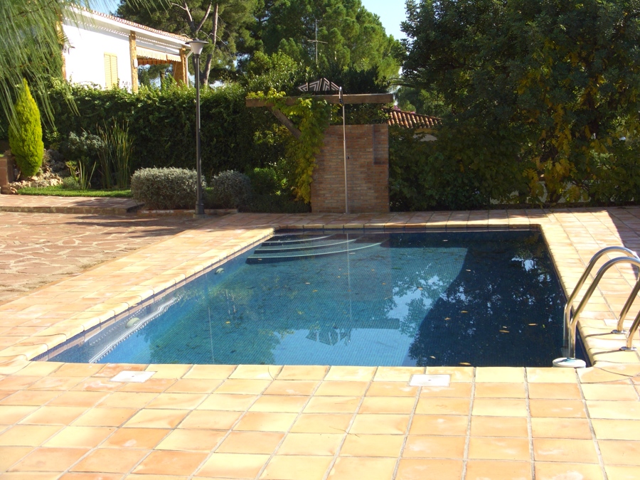 PISCINA CON ROMANA INTERIOR