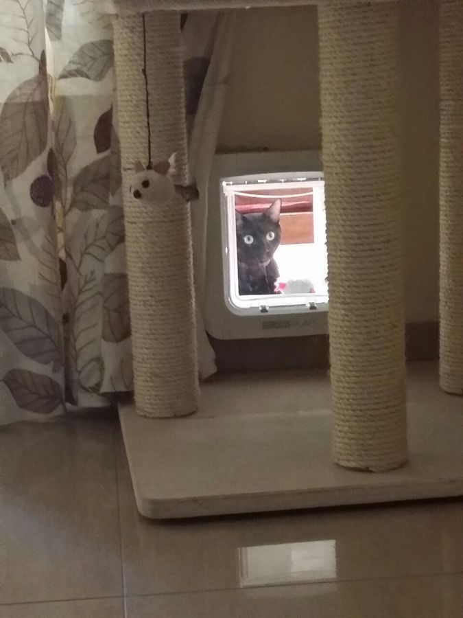COLOCACION DE UNA GATERA