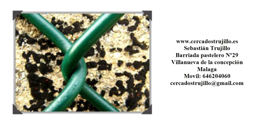 contacto
