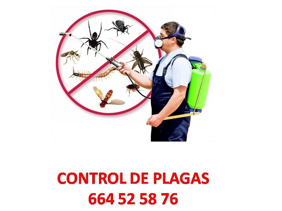 AMERICAN CONTROL