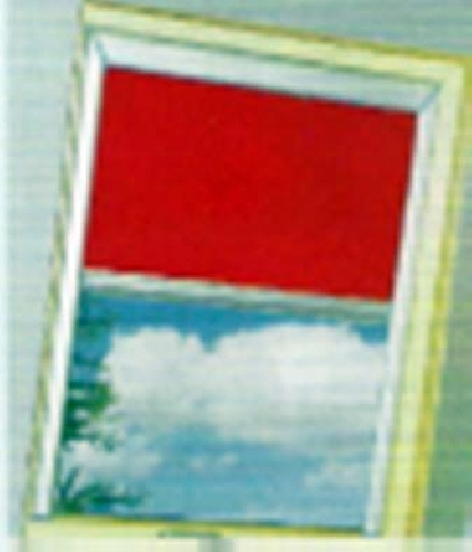 Convex S.L.