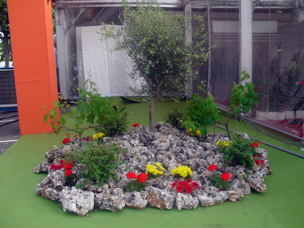 Creacion de rocalla