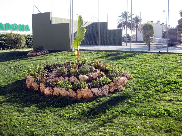 creacion de zona ajardinada