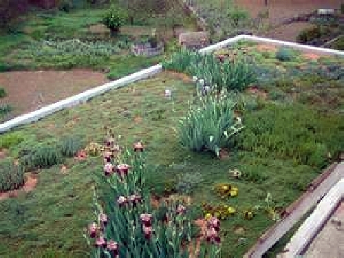 Cubierta ecológica