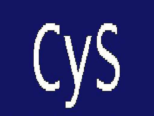 CyS Administradores