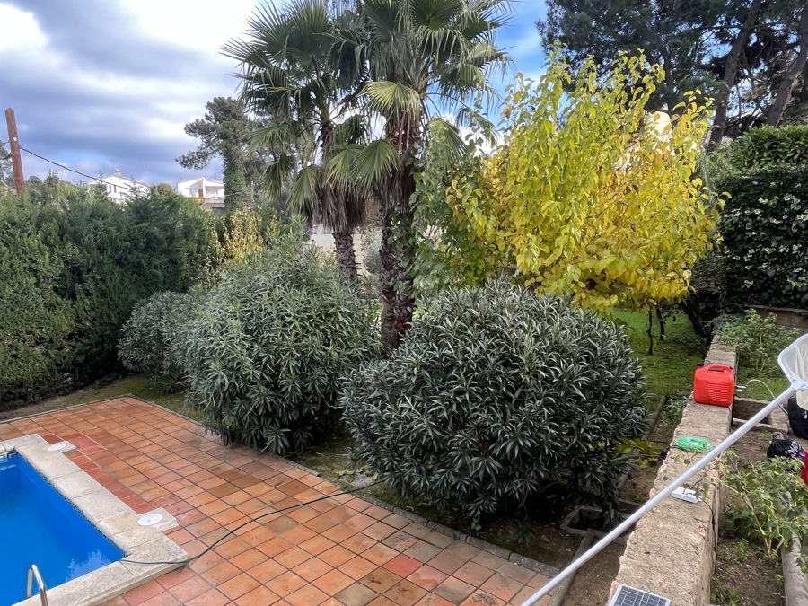 Jardin