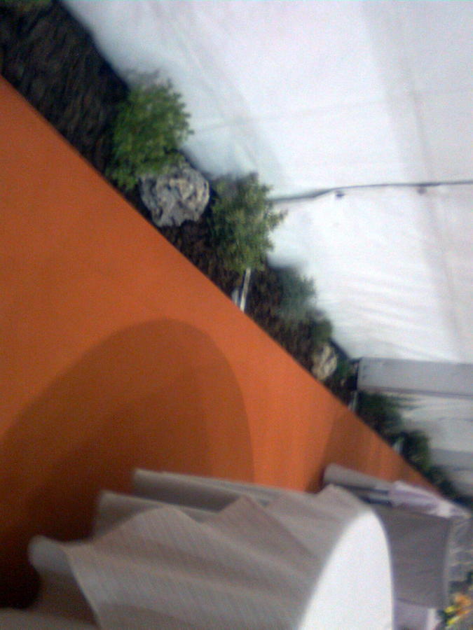 Decoracion