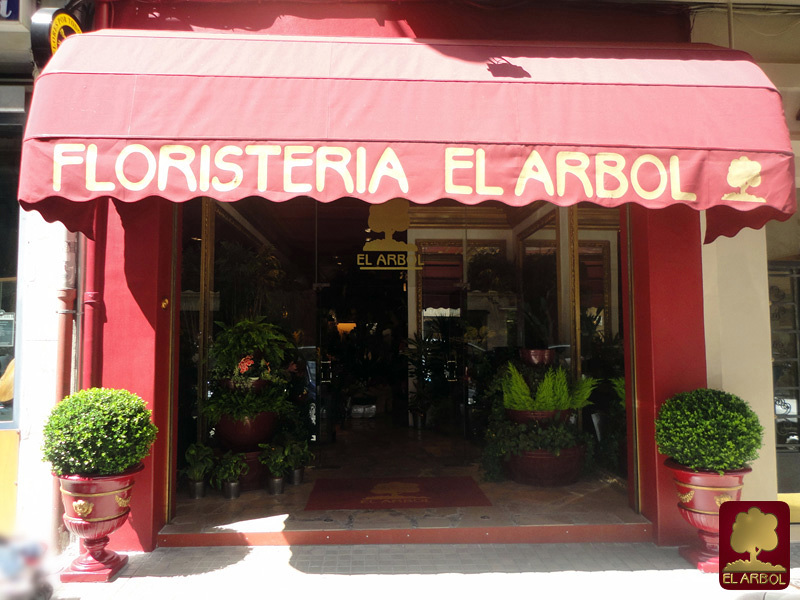 Decoracion 