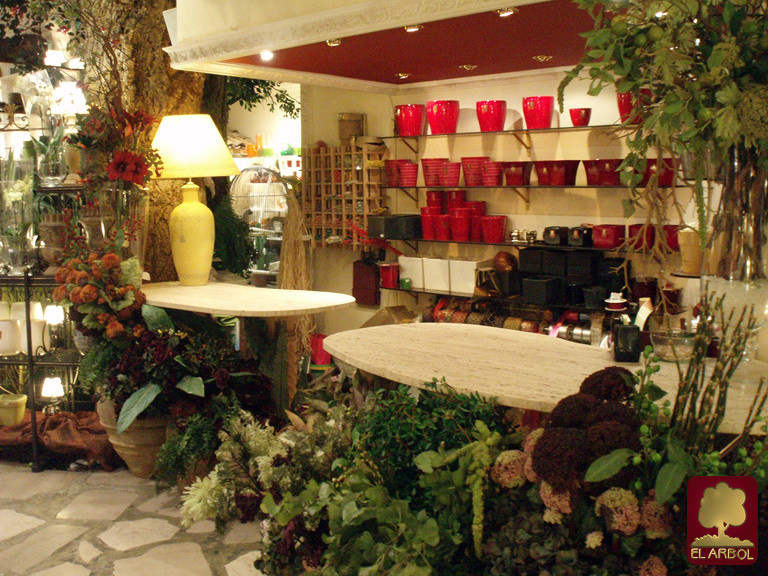 Decoracion 