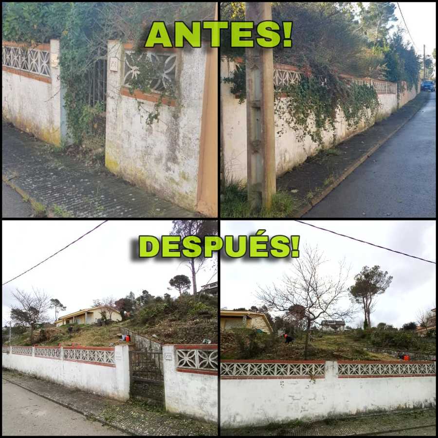 Desbroce de Parcela de 200 m2