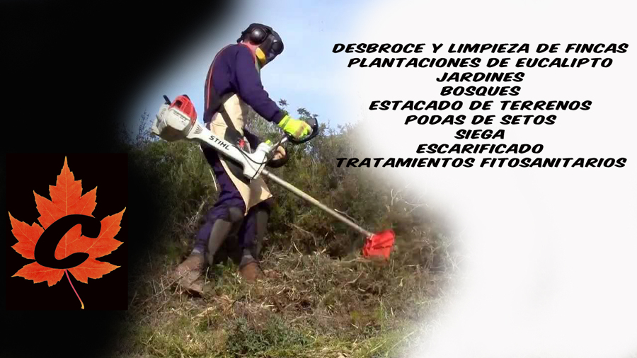 Desbroce de fincas