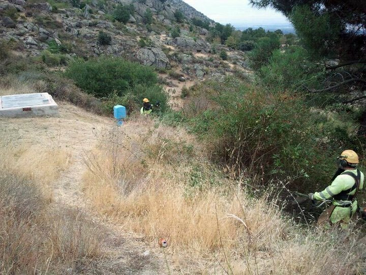 desbroce de terreno