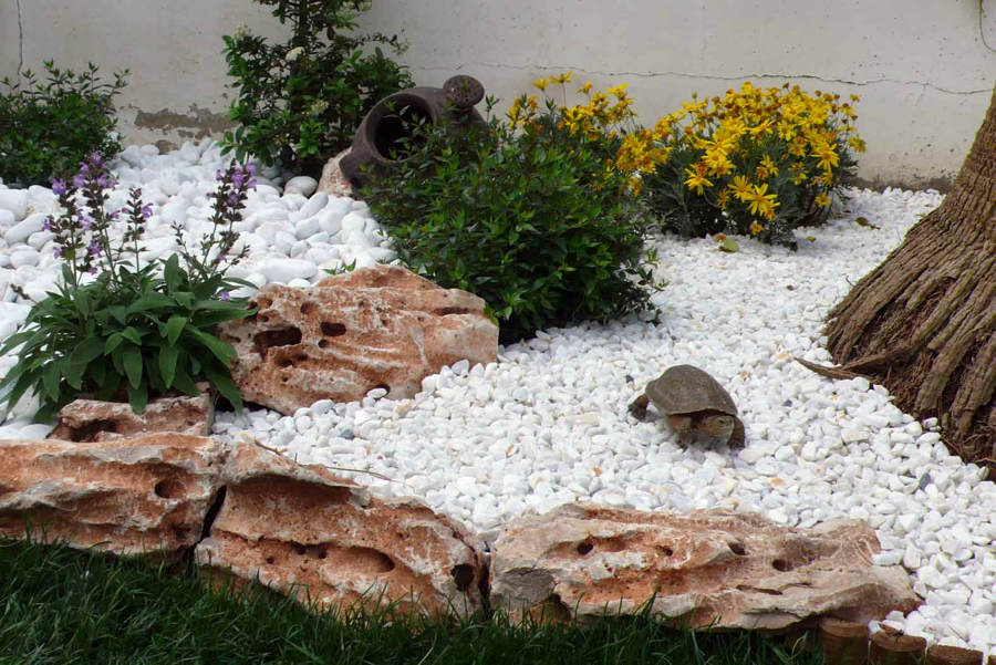 Detalle rocalla