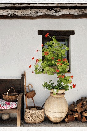 Detalle