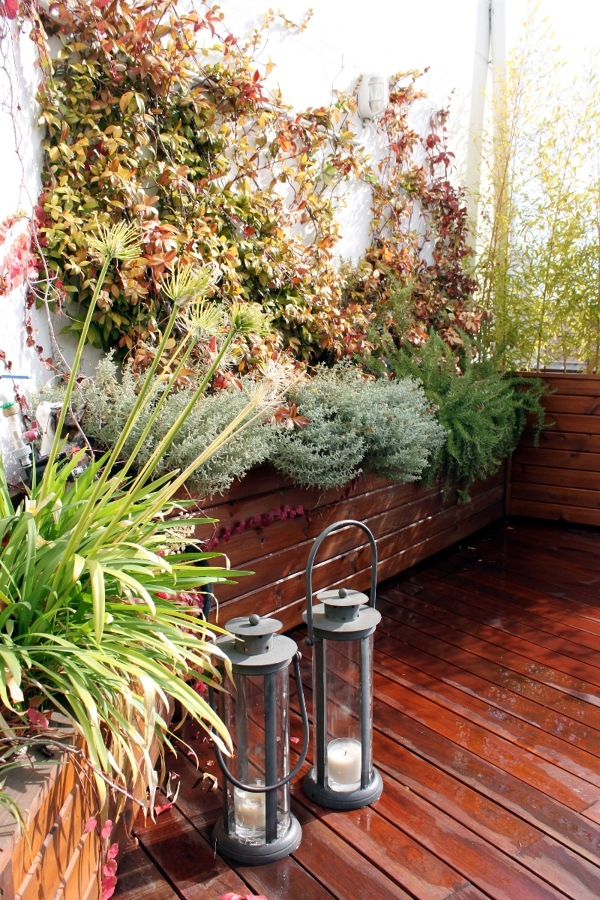 Diseño de jardín en ático. Jardín urbano. Madrid.