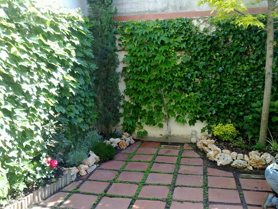 Diseño de jardin