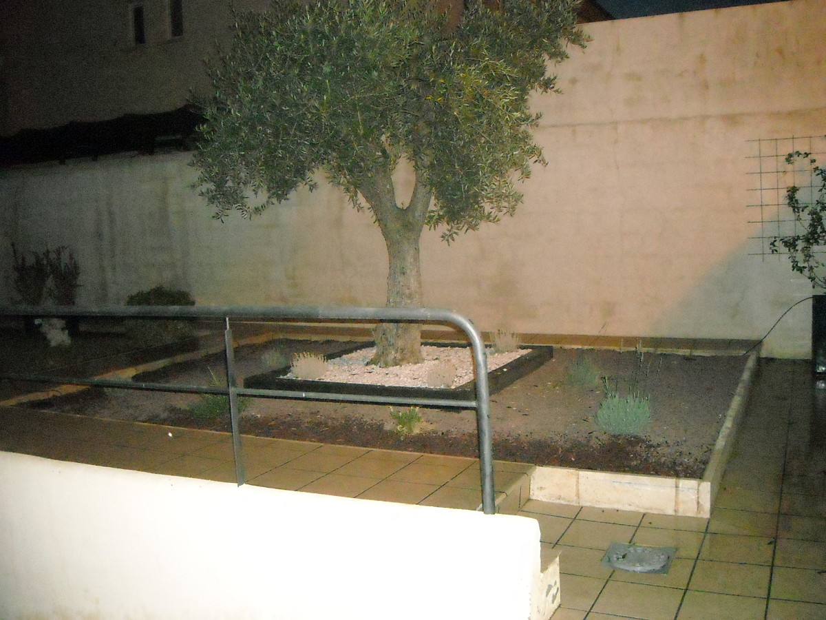 diseño jardines