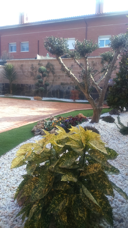 Pequeño jardín