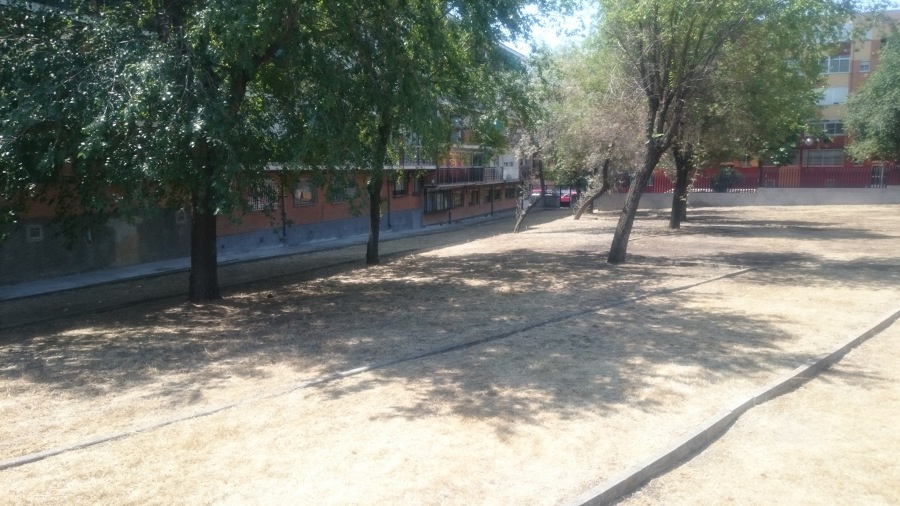 DESBROCE DE PARCELA