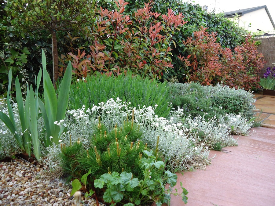 Jardín_El Boalo