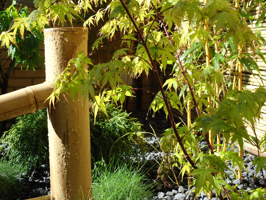 Jardín_Móstoles