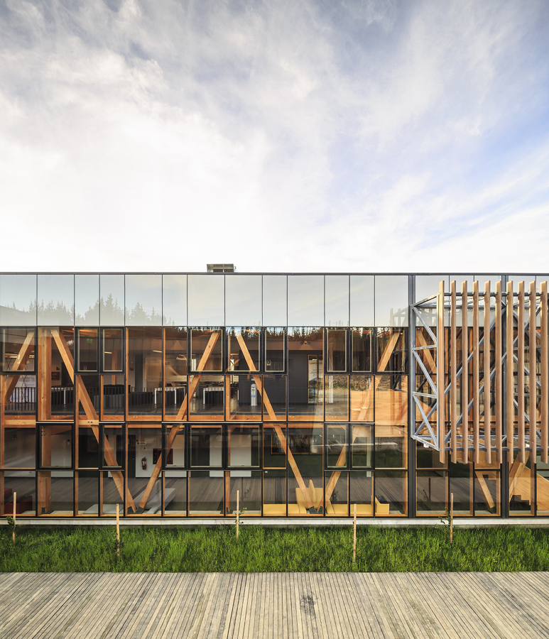 DUOC Arauco