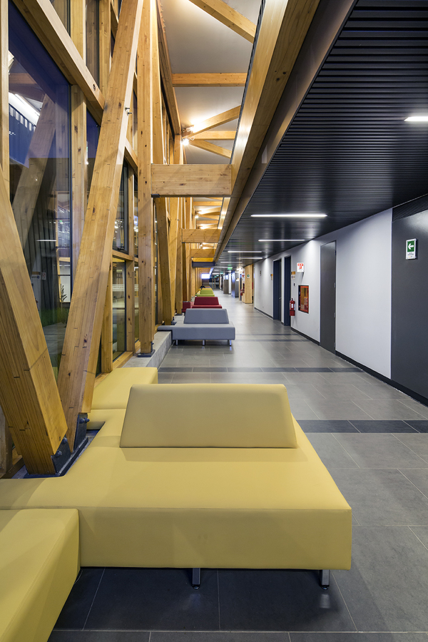 DUOC Arauco
