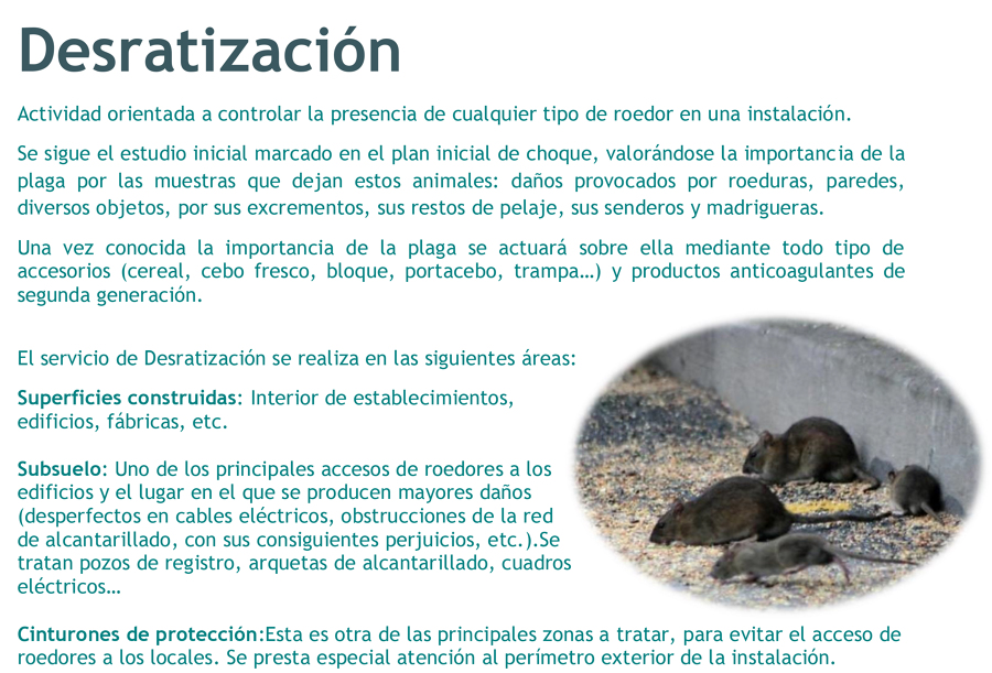 DESRATIZACIÓN