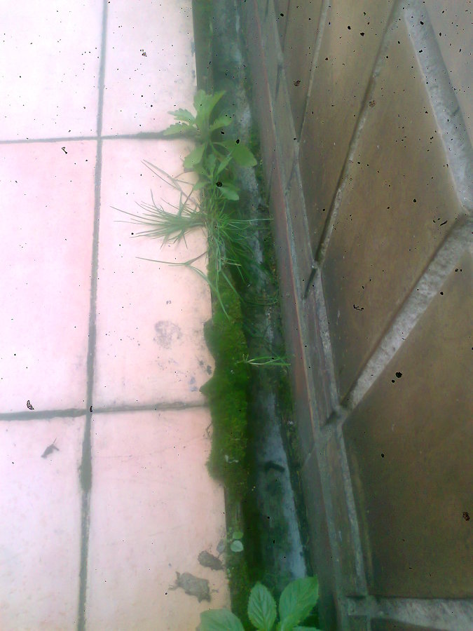 EL ANTES