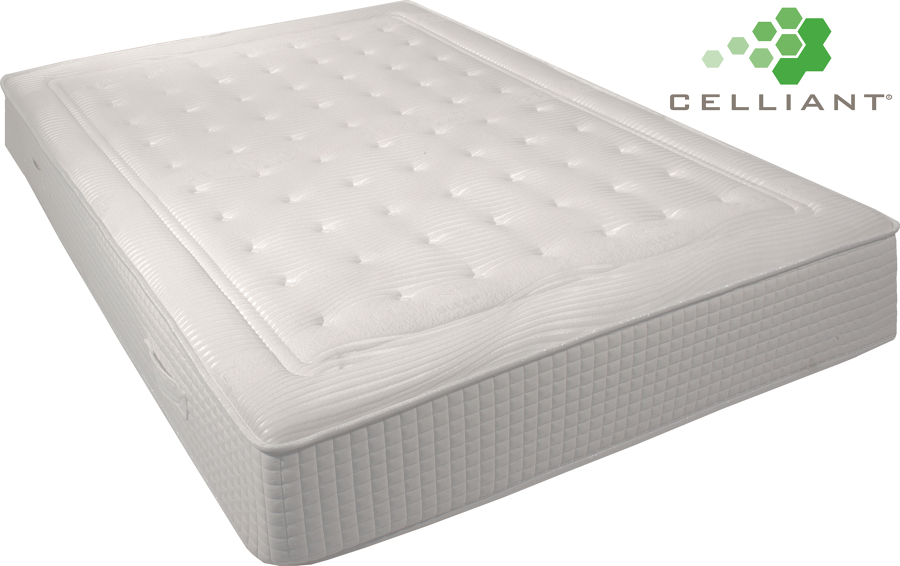 Colchon Recovery