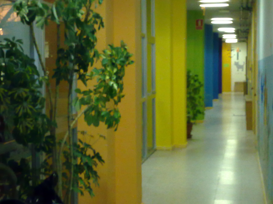 Escola Infantil