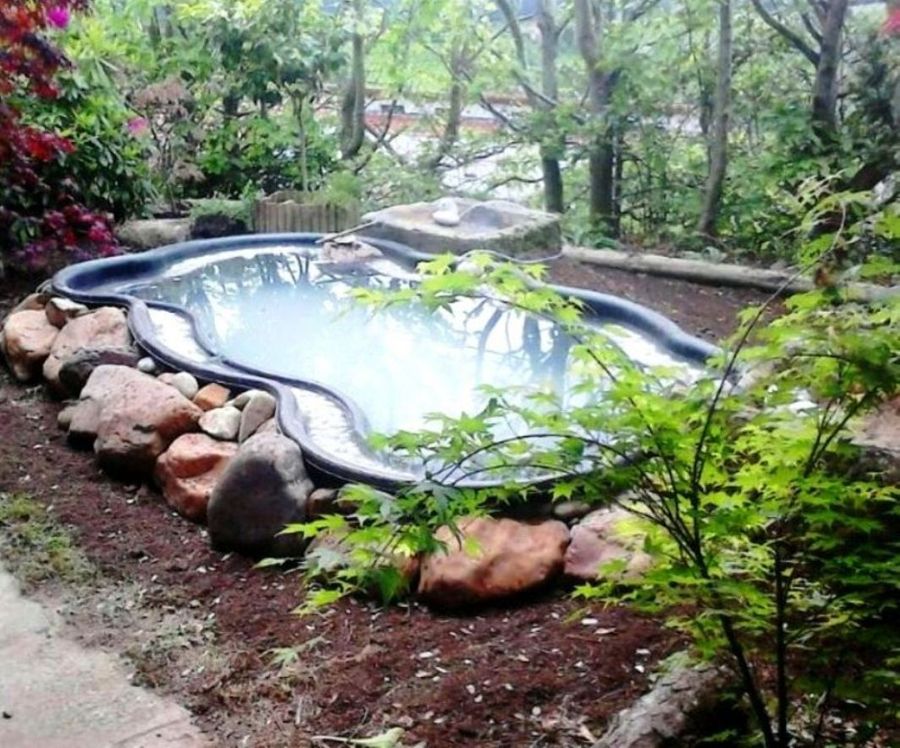 Estanque de peces