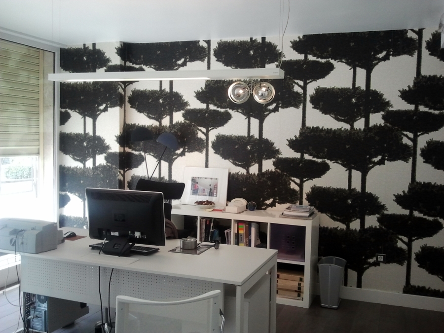 estudio santa lucia