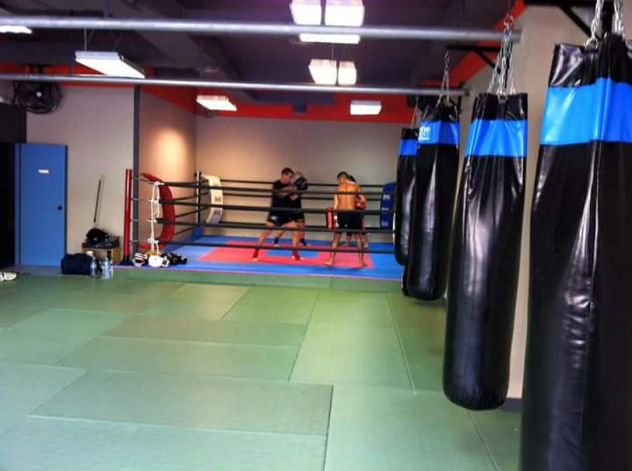 Reforma Gimnasio