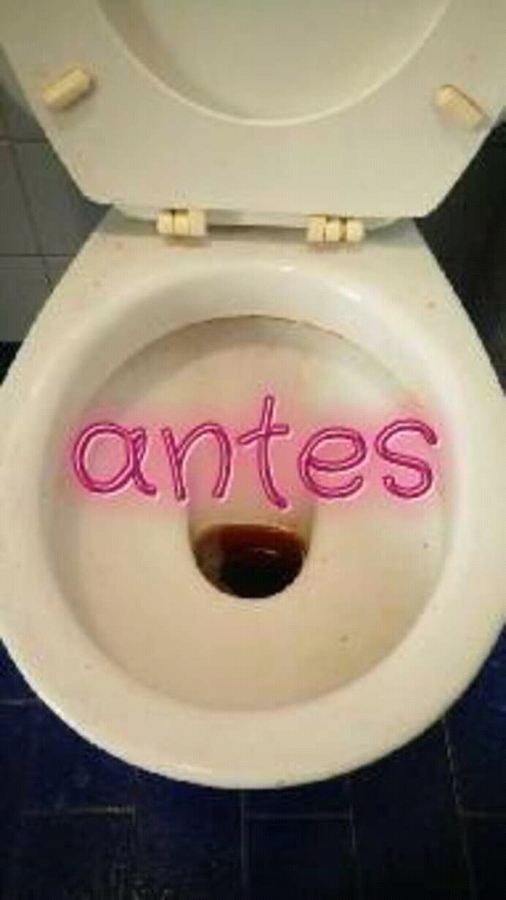 Trabajo realizado