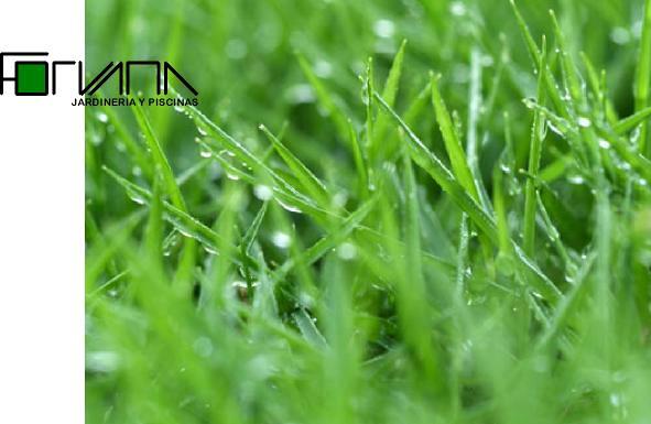 FORVANA JARDINERIA