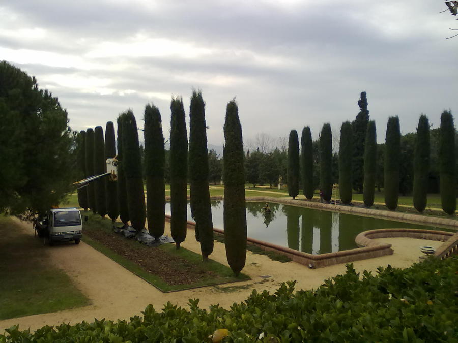 PODA DE ALTURA