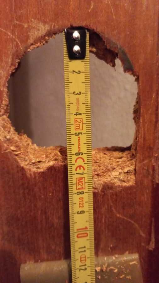 Puerta destrozada